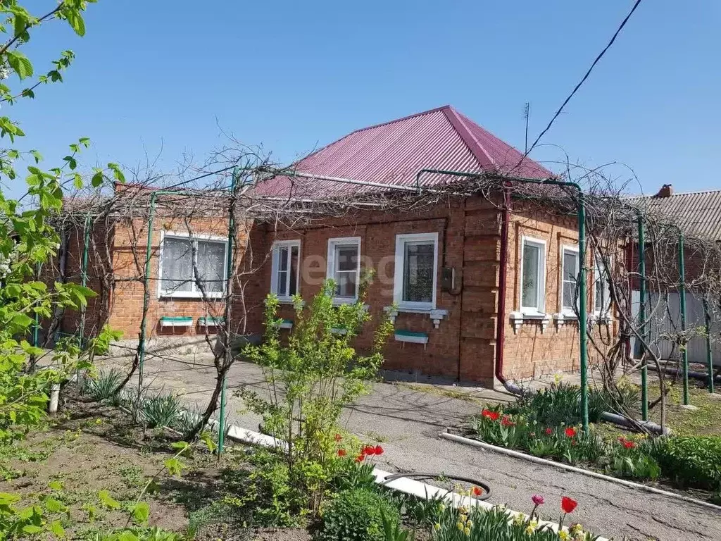 Дом в Краснодарский край, Щербиновский район, Старощербиновская ст-ца  ... - Фото 0