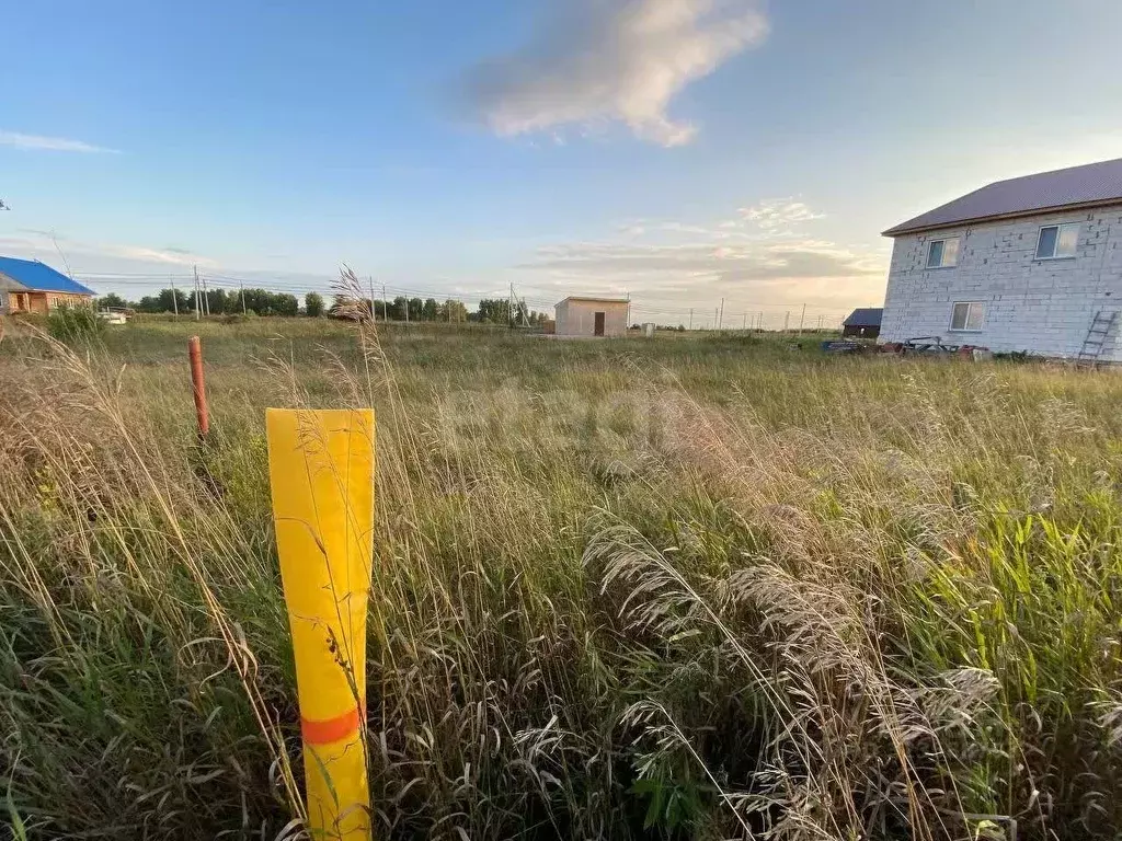 Участок в Новосибирская область, Коченево рп ул. Шоссейная, 24 (10.0 ... - Фото 1