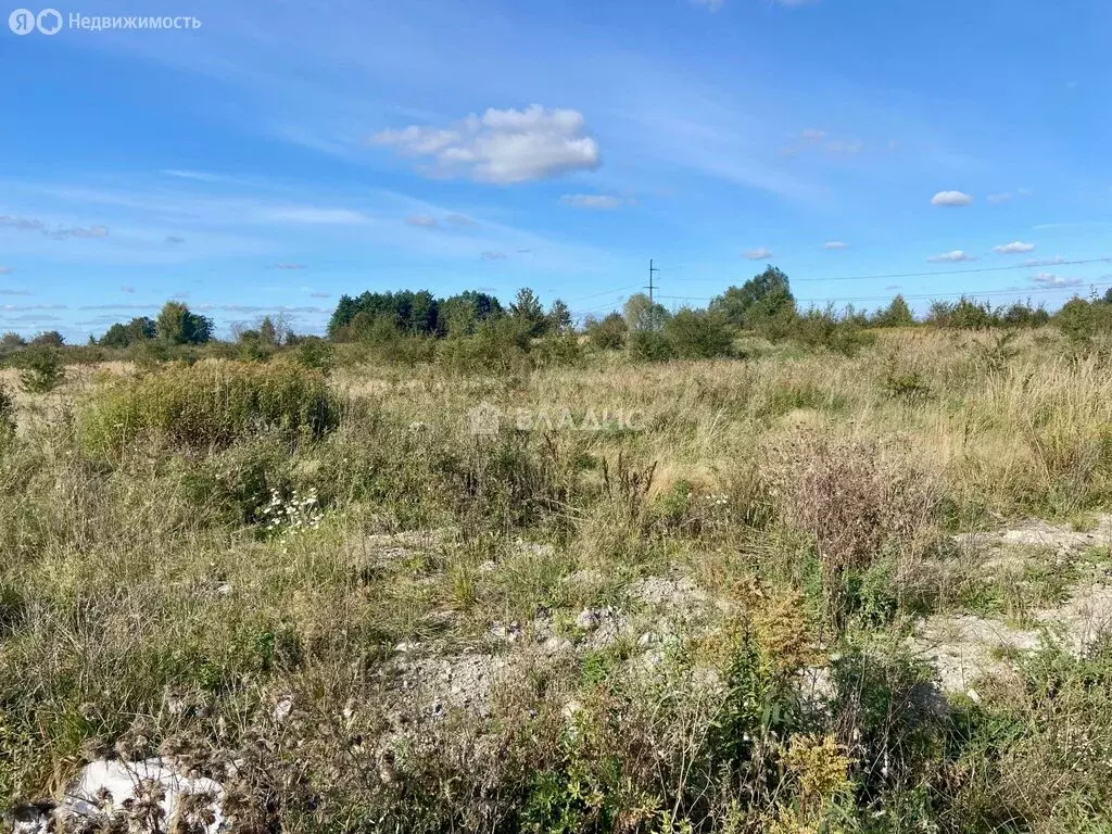 Участок в посёлок Заозерье, Заречная улица (12.35 м) - Фото 2