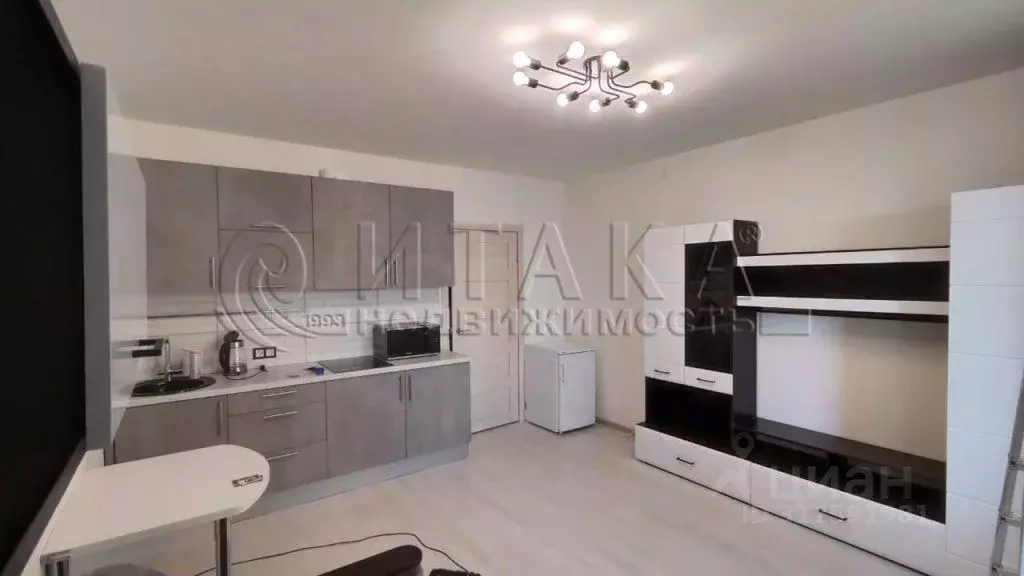 Студия Санкт-Петербург просп. Ветеранов, 179 (24.0 м) - Фото 0