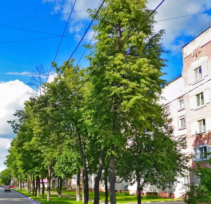 2-к кв. Марий Эл, Йошкар-Ола Первомайская ул., 79 (55.0 м) - Фото 0