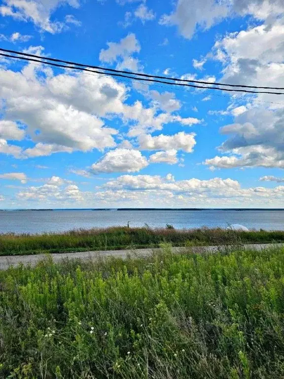 Участок в Новосибирская область, Ордынский район, с. Новопичугово  ... - Фото 2