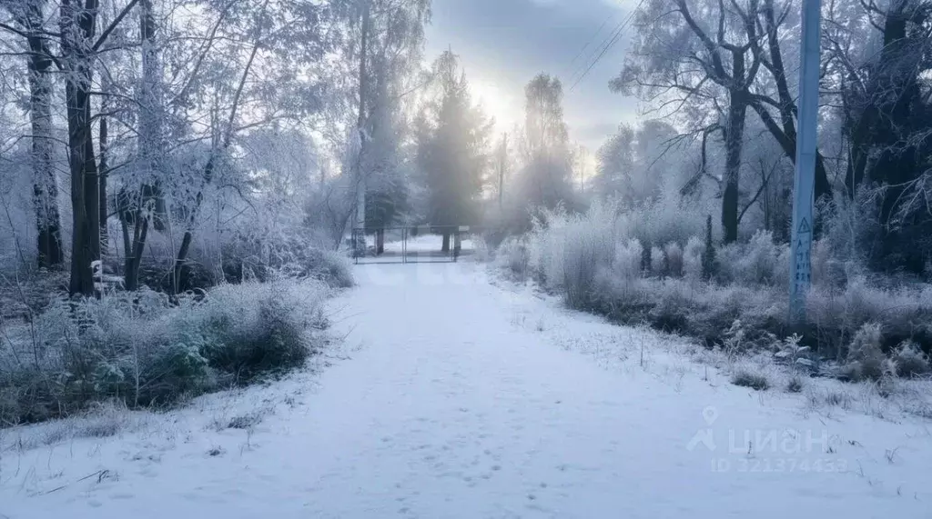 Дом в Псковская область, Островская волость, д. Городище ул. ... - Фото 1