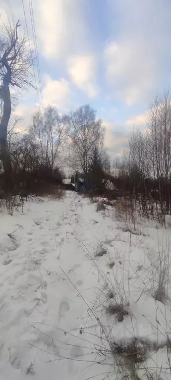 Участок в Нижегородская область, Чкаловск городской округ, д. ... - Фото 0