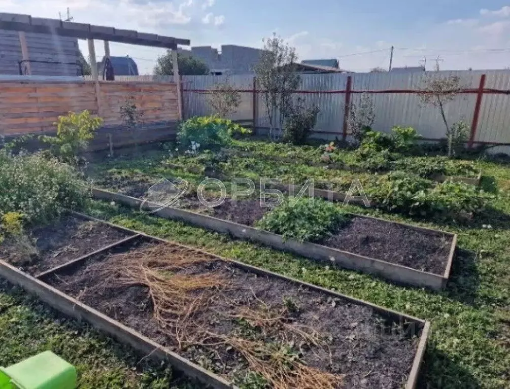 Дом в Тюменская область, Тюмень Аккорд СНТ,  (35 м) - Фото 2