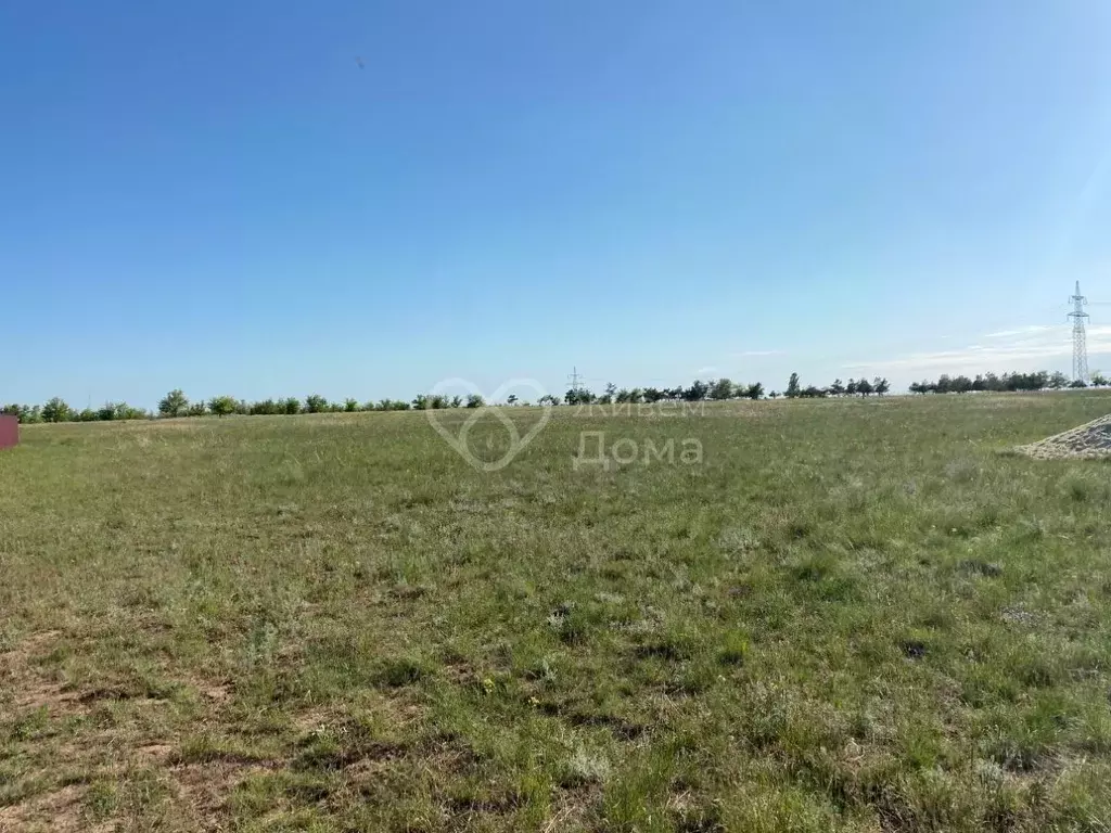 Участок в Волгоградская область, Городищенский район, Царицынское ... - Фото 1