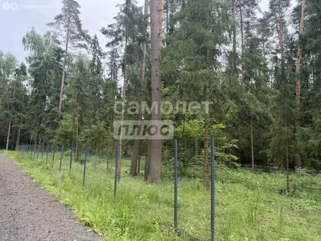 Участок в Московская область, городской округ Солнечногорск, КП ... - Фото 2