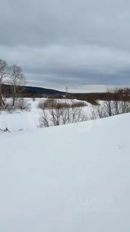 Участок в Тульская область, Ясногорский район, Ревякинское с/пос, с. ... - Фото 1