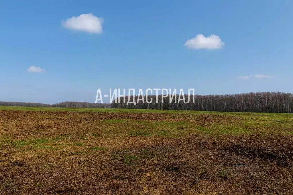 Участок в Московская область, Домодедово городской округ, д. Проводы ... - Фото 2