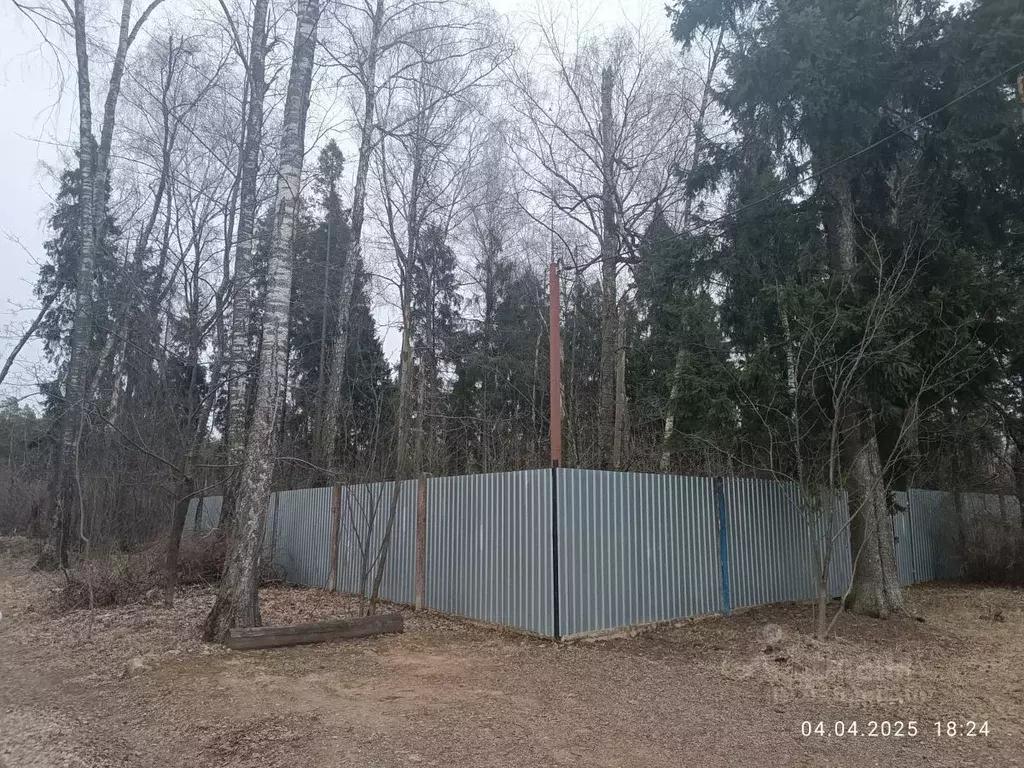 Участок в Московская область, Щелково городской округ, Планета СНТ  ... - Фото 1