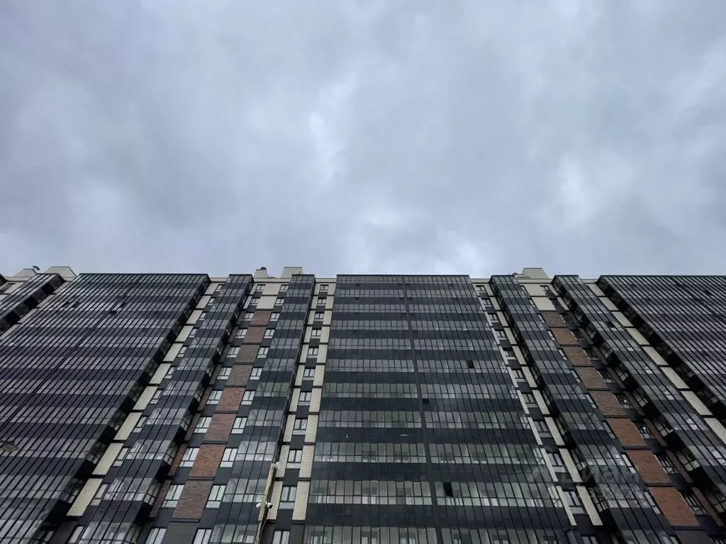 3-к кв. Ленинградская область, Кудрово г. Всеволожский район, ... - Фото 2