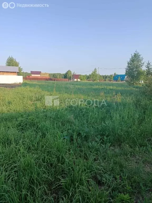 Участок в Новосибирский район, Верх-Тулинский сельсовет, ДНТ Берёзка, ... - Фото 1