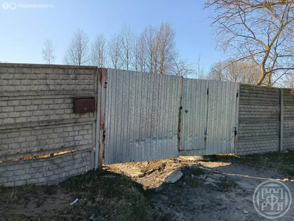 Участок в Красное Село, улица Голубко, 55 (13 м) - Фото 2