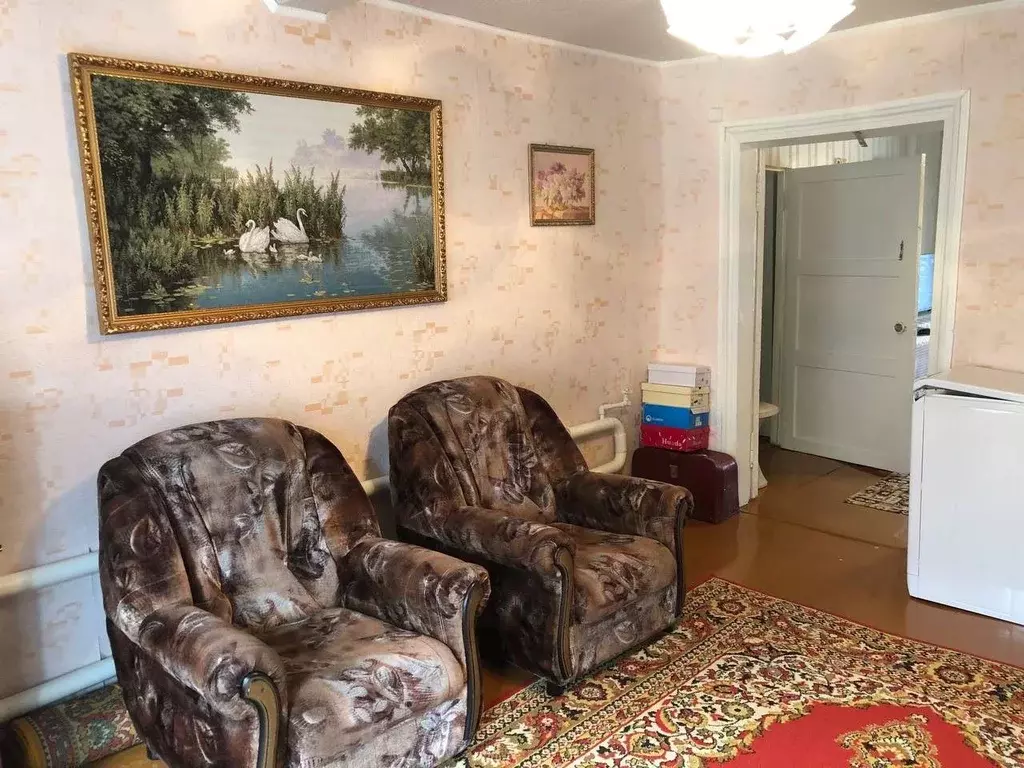 Дом в Нижегородская область, Бор ул. Пушкина, 132 (35 м) - Фото 1