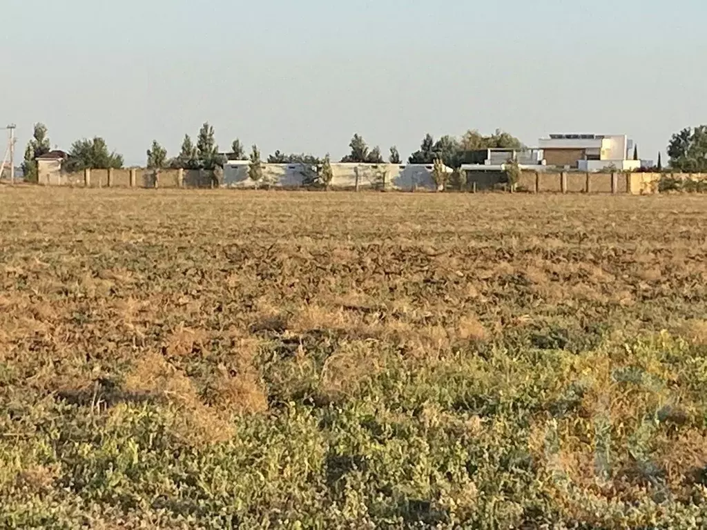 Участок в Крым, Сакский район, с. Молочное 2 (6.0 сот.) - Фото 1