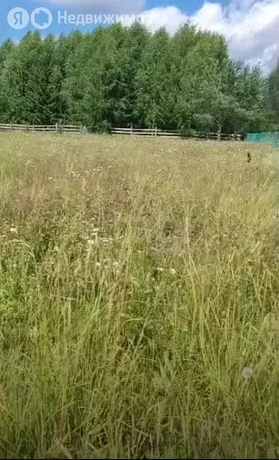 Участок в Пермский край, Соликамский муниципальный округ, посёлок ... - Фото 1