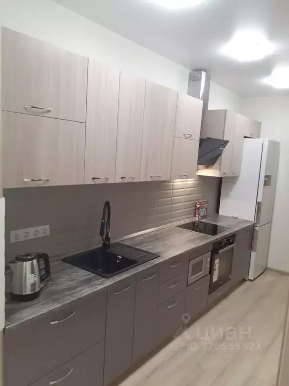 Студия Белгородская область, Белгород ул. Каштановая, 14 (30.0 м) - Фото 1