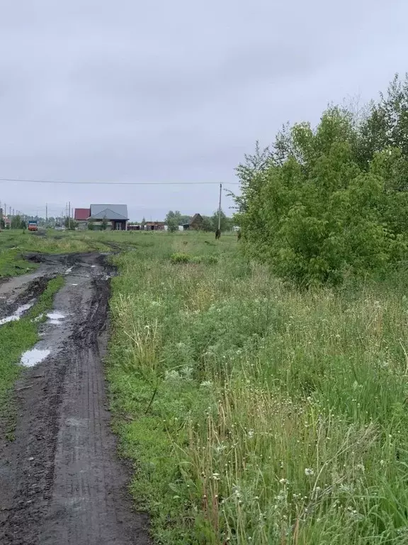 Участок в Алтайский край, Первомайский район, пос. Новый ул. Гагарина, ... - Фото 2