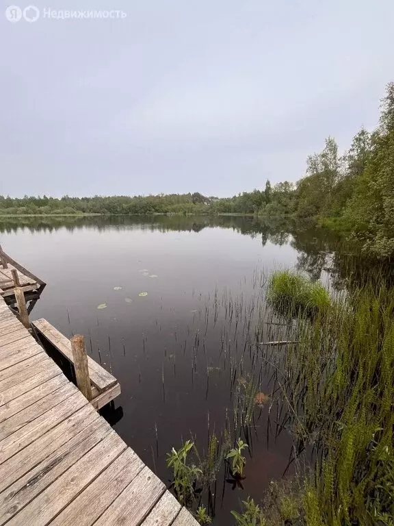 Участок в Горское сельское поселение, деревня Кулига, Дачная улица (10 ... - Фото 0