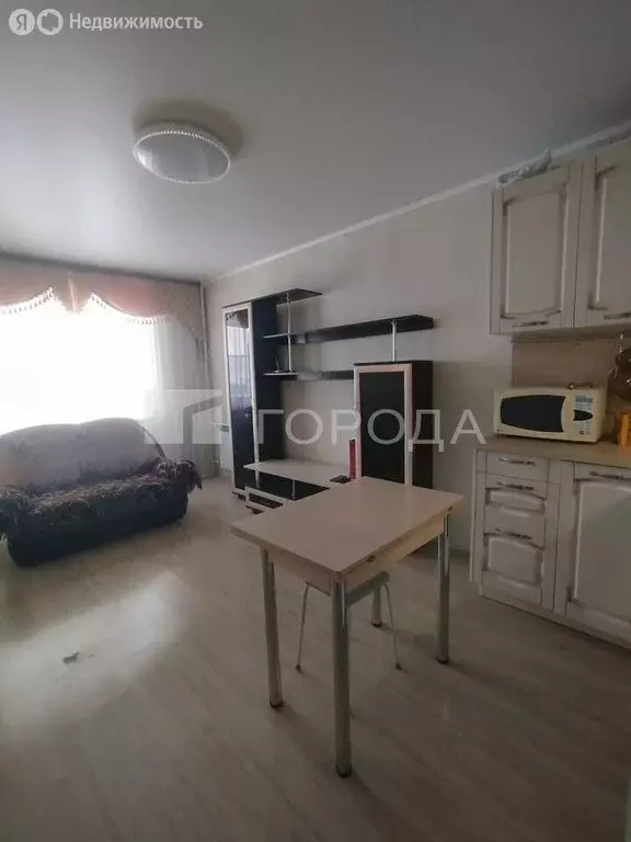 Квартира-студия: Барнаул, Северный Власихинский проезд, 104 (27 м) - Фото 0