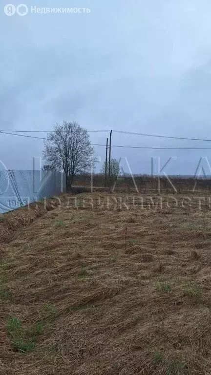 Участок в посёлок Ромашки, Полевая улица (9 м) - Фото 1