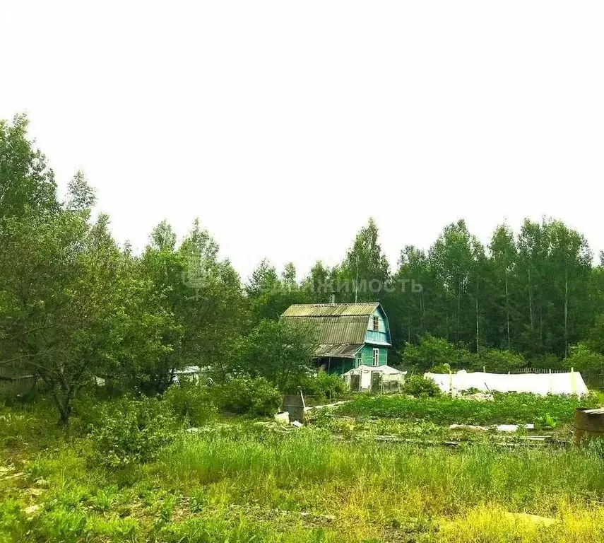 Дом в Ермолинское сельское поселение, массив Ляпино-3, садоводческое ... - Фото 1