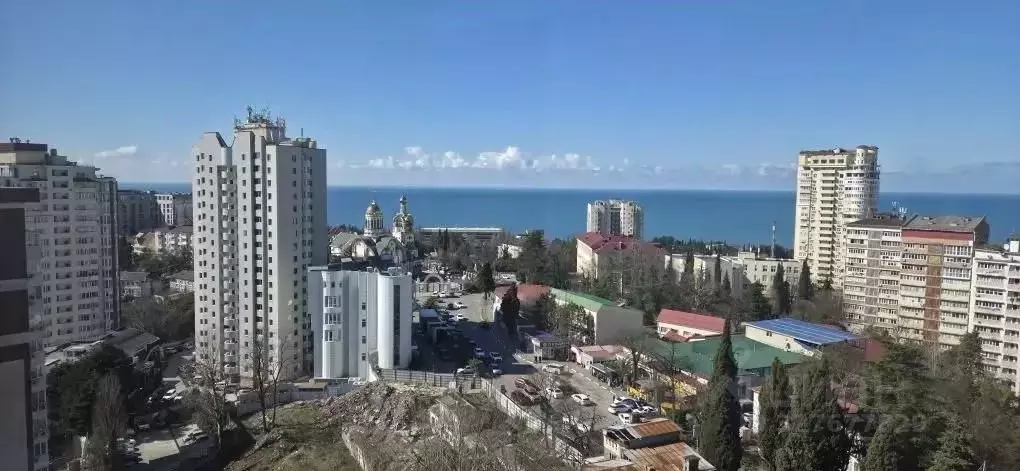 2-к кв. Краснодарский край, Сочи Виноградная ул., 22/1А (44.1 м) - Фото 1