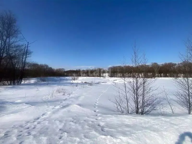 Участок в Калужская область, Тарусский район, Похвиснево с/пос, с. ... - Фото 0