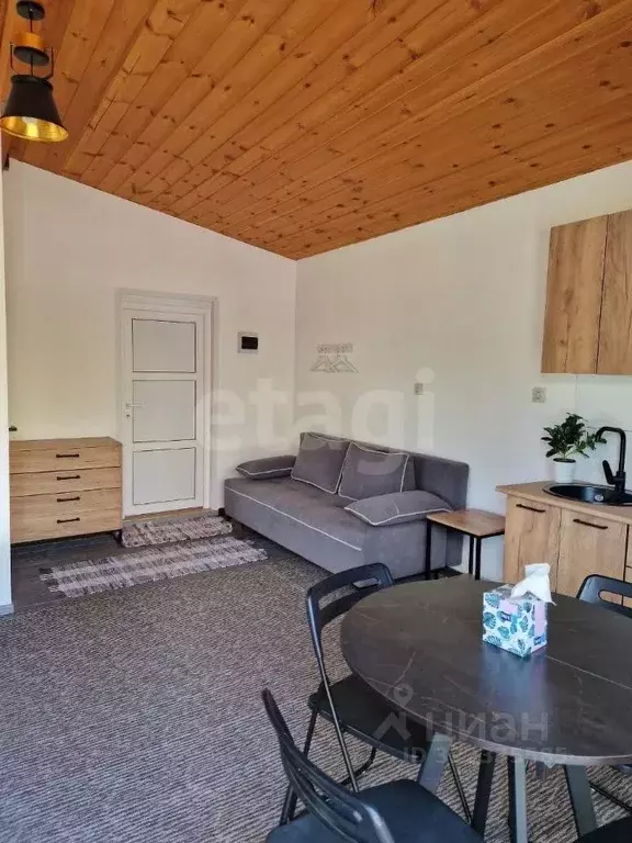 Дом в Алтай, Чемальский район, с. Турбаза Катунь ул. Романтиков, 16 ... - Фото 1