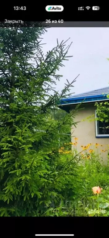 Дом в Тверская область, Калининский муниципальный округ, Березка-1 СНТ ... - Фото 1