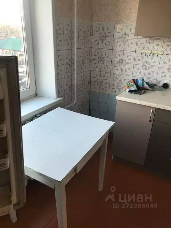2-к кв. Алтайский край, Новоалтайск 8-й мкр, 11 (50.0 м) - Фото 2