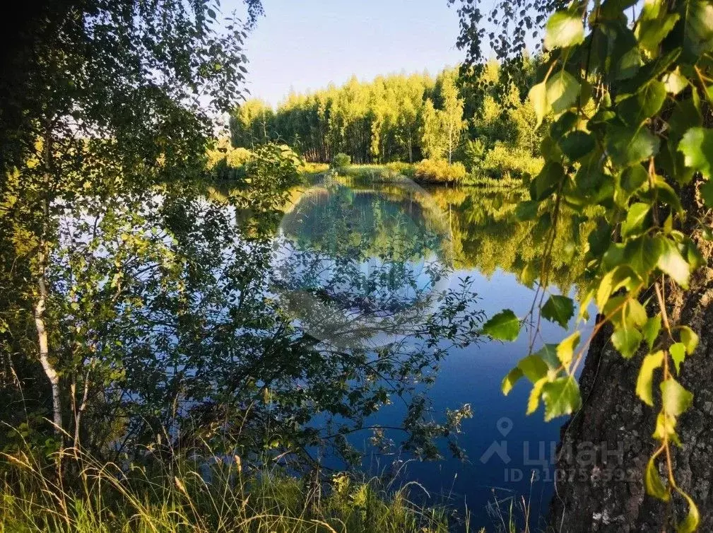 Участок в Московская область, Кашира городской округ, д. Завалье-2 ул. ... - Фото 0