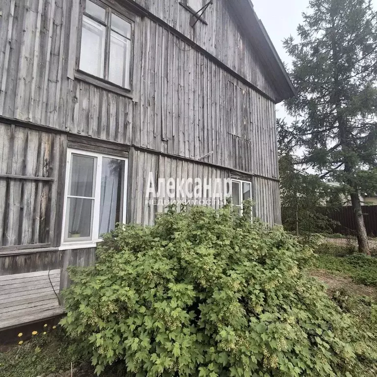 2-к кв. Ленинградская область, Выборг ул. Тенистая, 40 (38.7 м) - Фото 2