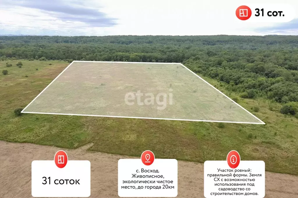 Участок в Хабаровский край, Хабаровский район, Осиновореченское с/пос, ... - Фото 1