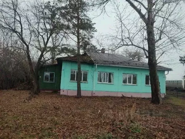 Помещение свободного назначения в Омская область, Любинский район, ... - Фото 1