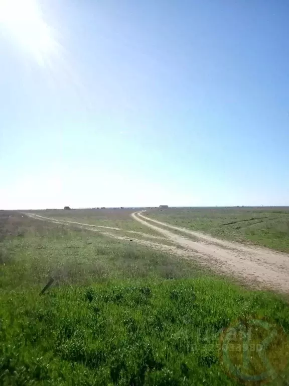 Участок в Крым, Сакский район, с. Молочное  (6.0 сот.) - Фото 1