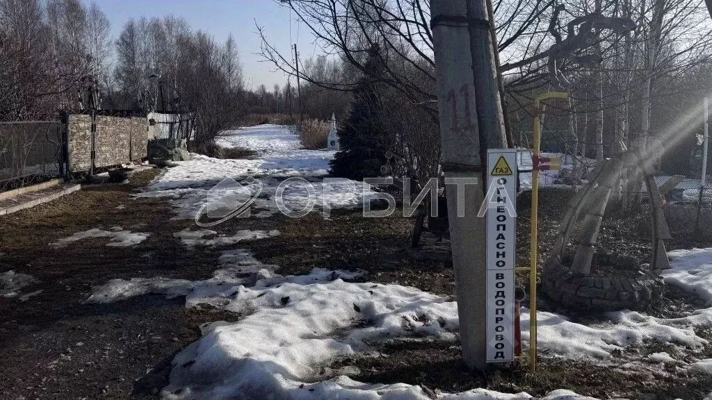 Участок в Тюменская область, Тюмень СОСН Березка-3 тер., ул. 15-я (5.0 ... - Фото 2