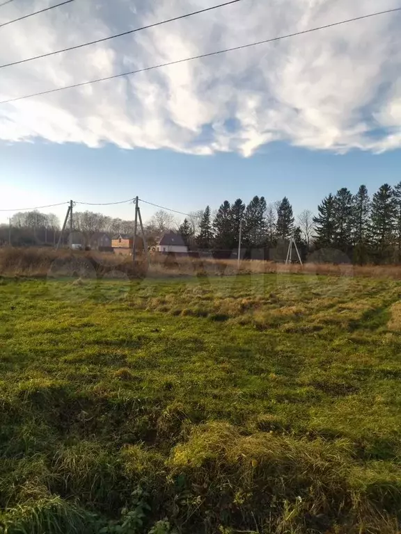 Участок 5 сот. (СНТ, ДНП) - Фото 0