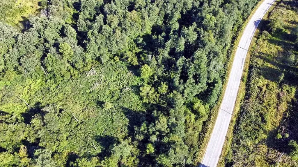 Участок в Карелия, Питкярантский муниципальный округ, пос. Импилахти  ... - Фото 1