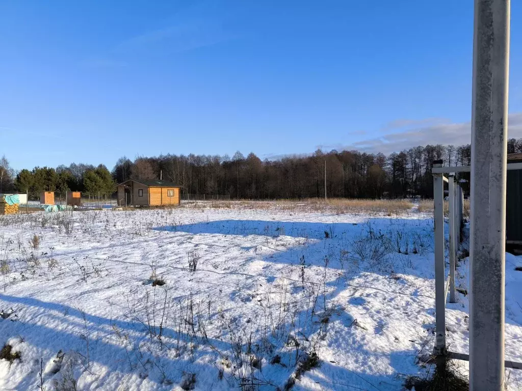 Участок в Московская область, Раменский муниципальный округ, с. Речицы ... - Фото 1
