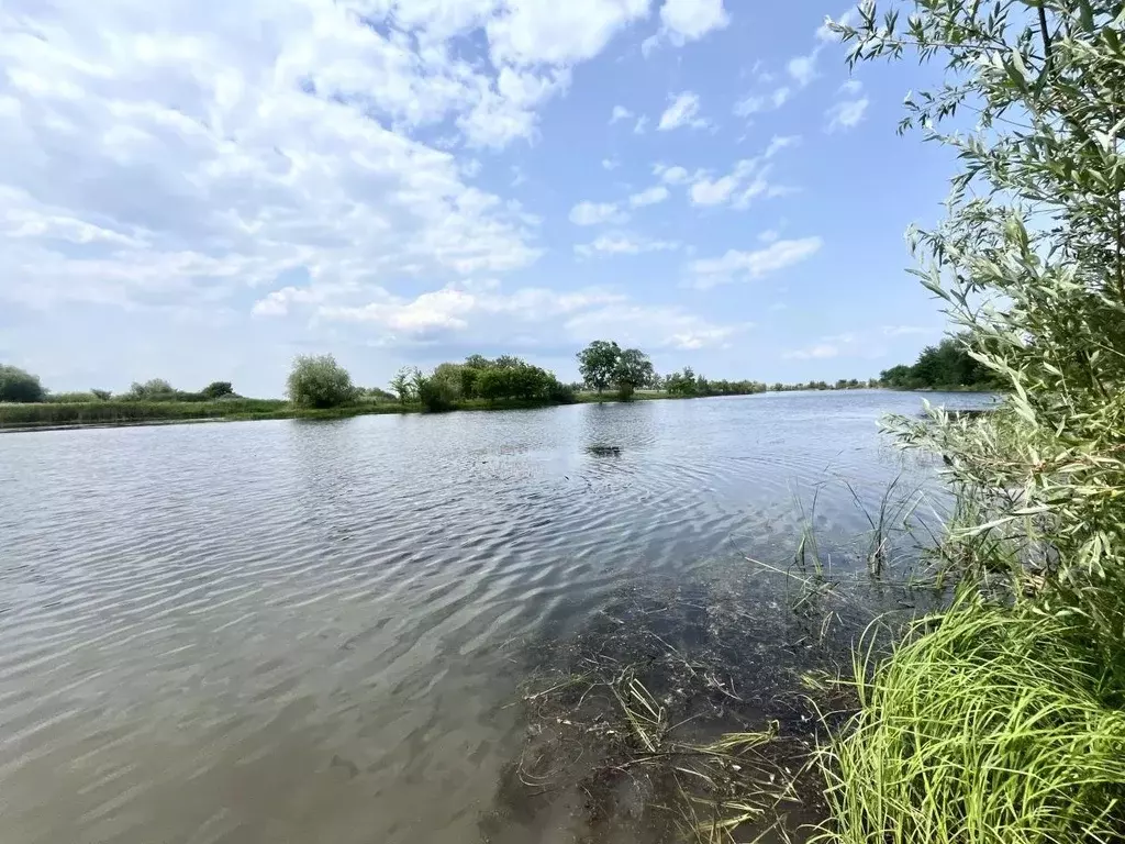 Участок в Саратовская область, Энгельсский район, Красноярское ... - Фото 1