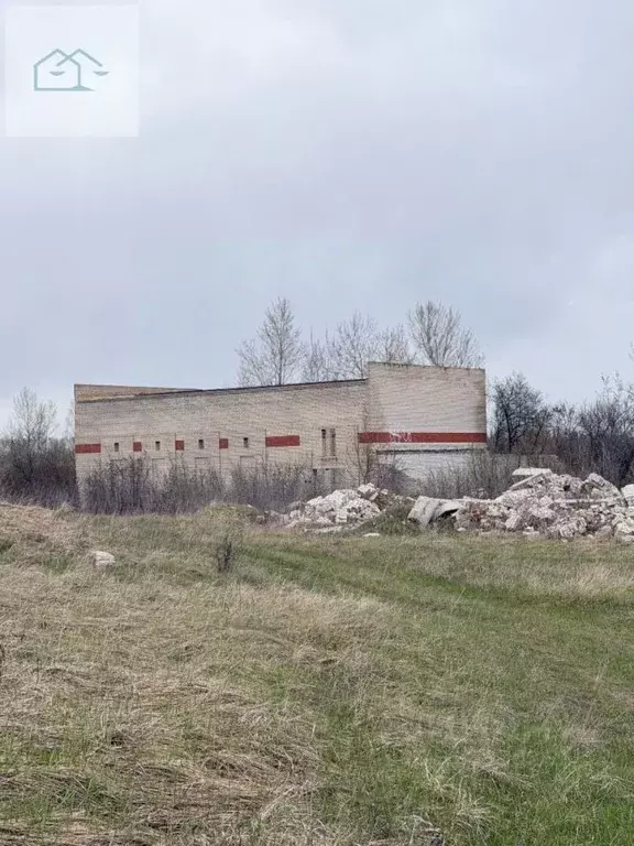 Помещение свободного назначения в Воронежская область, Семилукский ... - Фото 1
