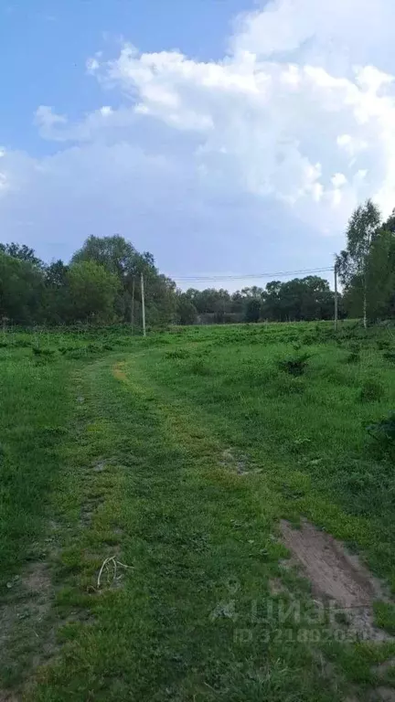 Участок в Московская область, Рузский муниципальный округ, с. Кожино  ... - Фото 1
