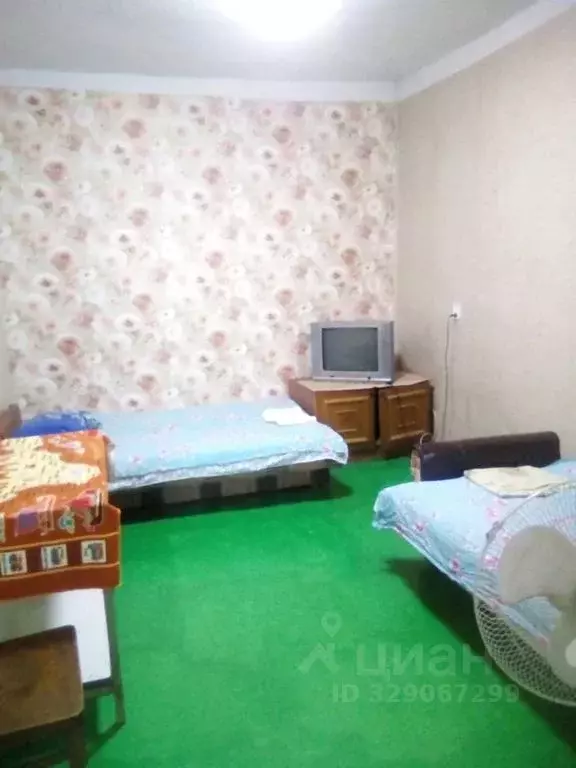 Комната Крым, Ялта муниципальный округ, Гурзуф пгт ул. Афанасия ... - Фото 1
