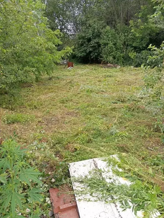 Участок в Саратовская область, пос. Тепличный проезд 2-й Монтажный ... - Фото 1