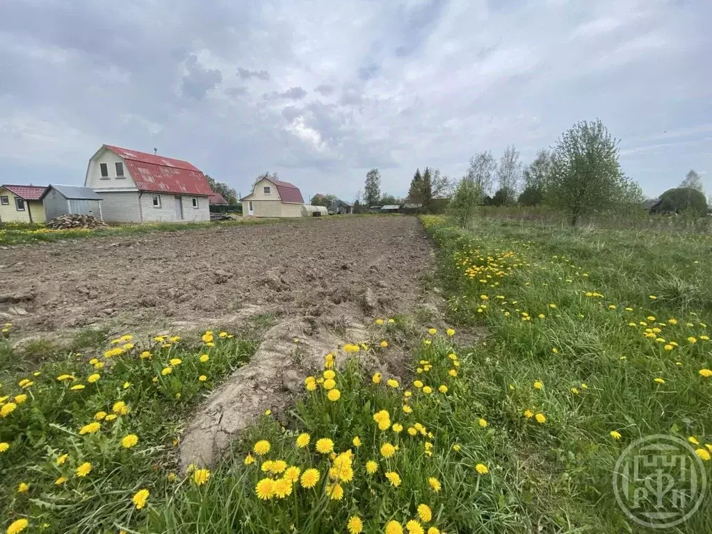 Участок в Ленинградская область, Ломоносовский район, Гостилицкое ... - Фото 1