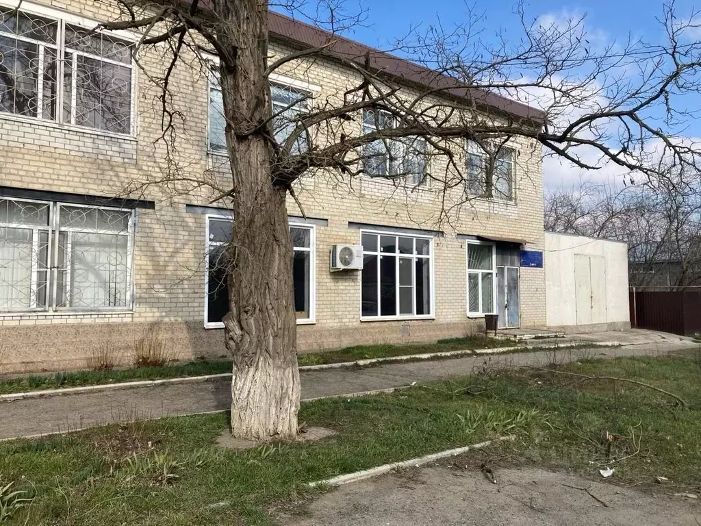 Помещение свободного назначения в Ставропольский край, с. Новоселицкое ... - Фото 0