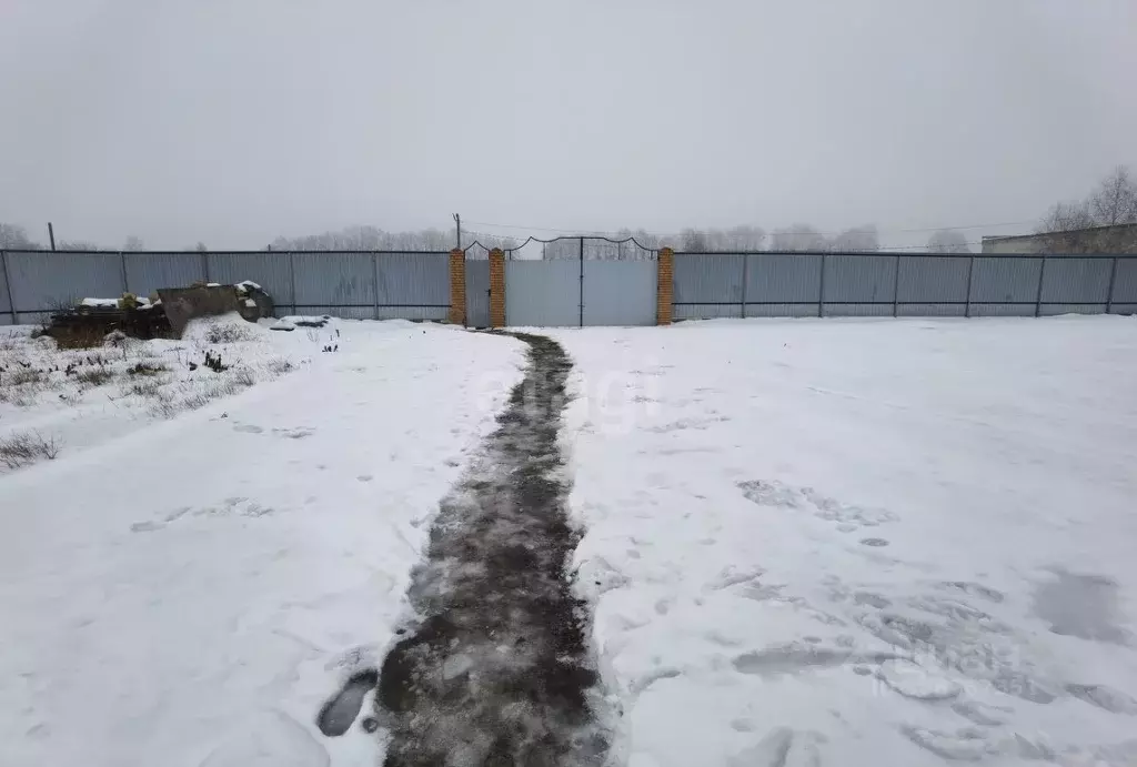 Участок в Брянская область, Брянский район, Отрадненское с/пос, с. ... - Фото 1