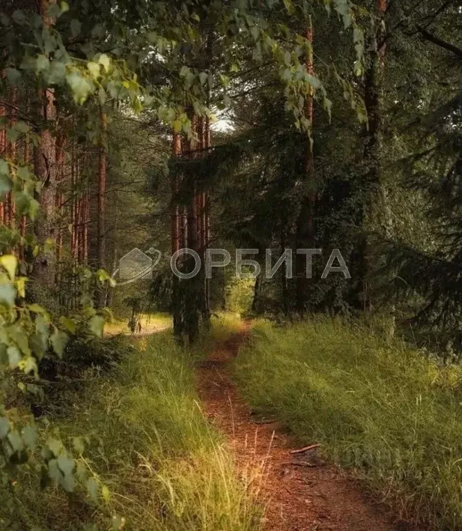 Участок в Тюменская область, Тюменский район, с. Княжево Комсомольская ... - Фото 1
