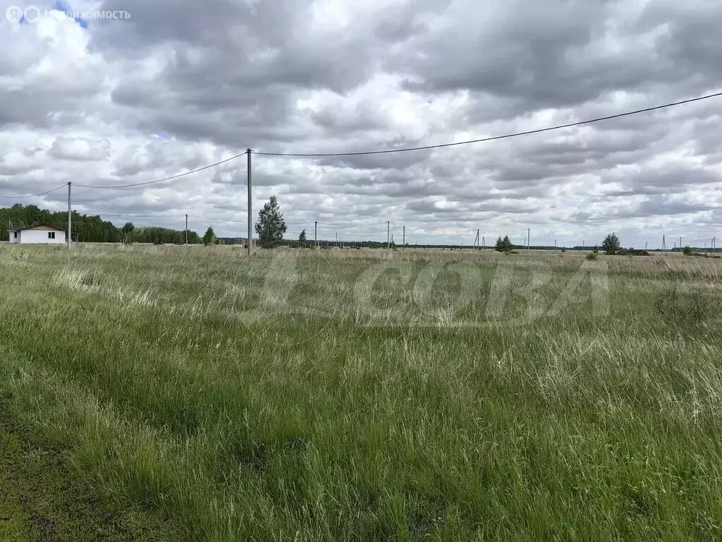 Участок в Курганская область, Кетовский муниципальный округ, ... - Фото 0